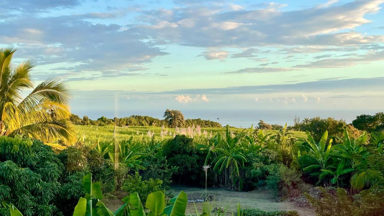 Les Villas De La Ligne Des Bambous Ravine des Cabris 外观 照片