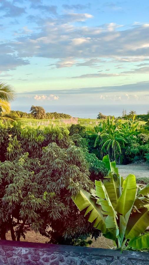 Les Villas De La Ligne Des Bambous Ravine des Cabris 外观 照片