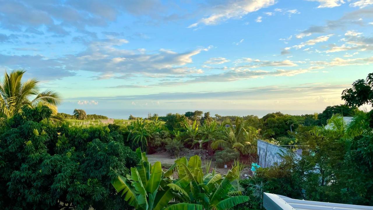 Les Villas De La Ligne Des Bambous Ravine des Cabris 外观 照片